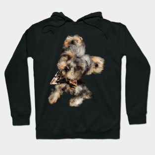 Yorkshire Terrier Puppy Head Tilt Hello Hoodie